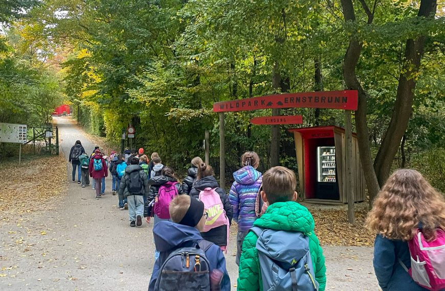 Ausflug zum Wildtierpark Ernstbrunn | 1EF