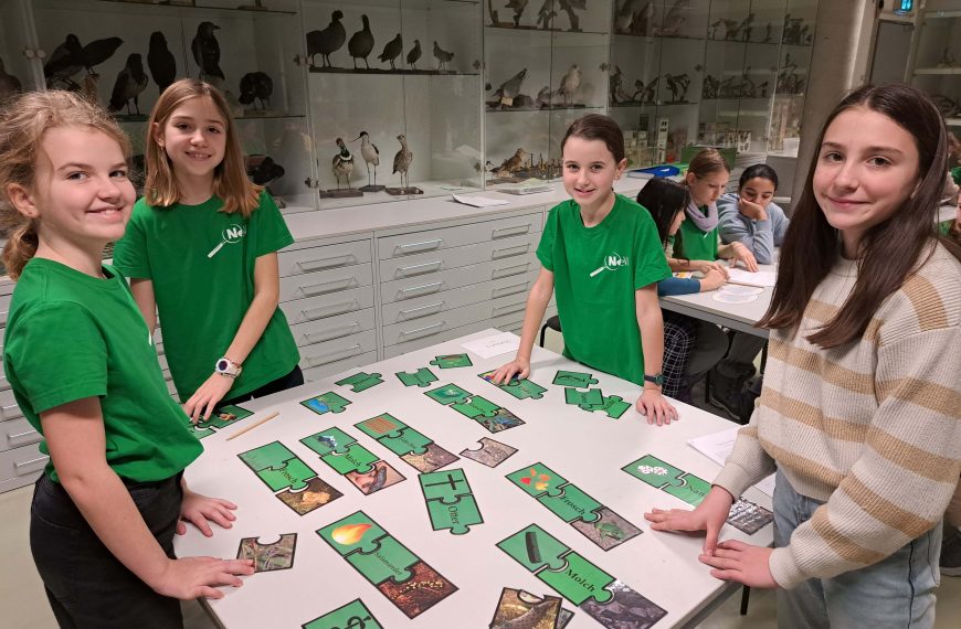 Amphibien und Reptilien hautnah