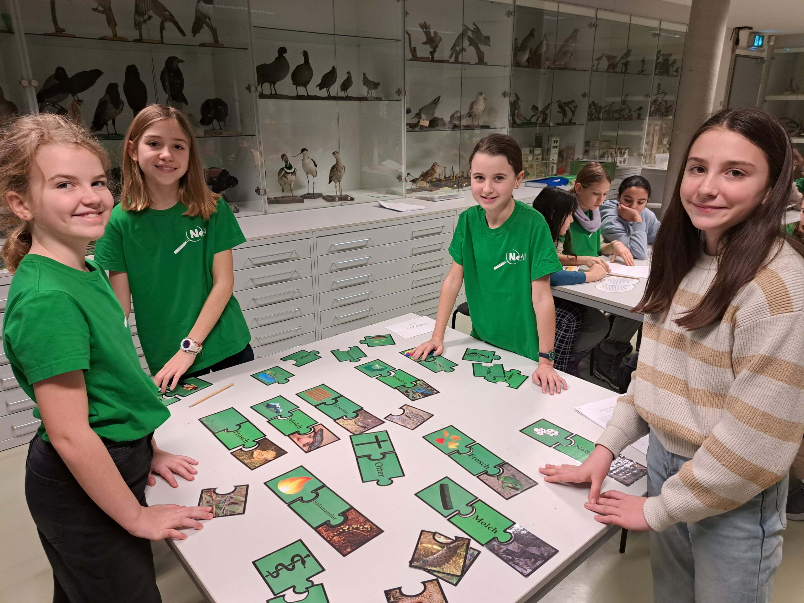 Du betrachtest gerade Amphibien und Reptilien hautnah