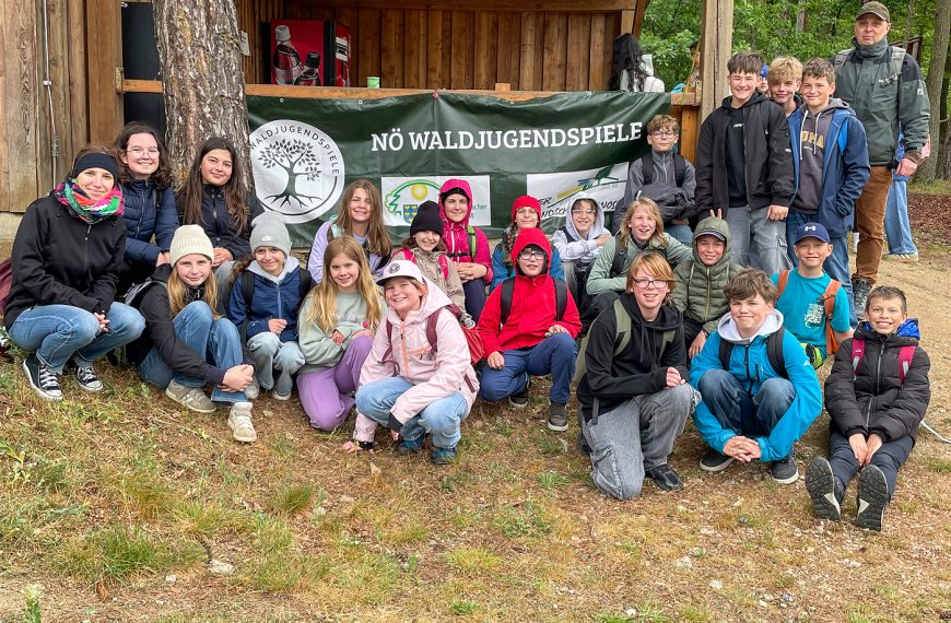 NÖ Waldjugendspiele 2026